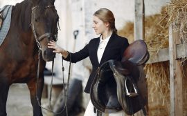 Équipement d’équitation : alliez confort et performance sans compromis