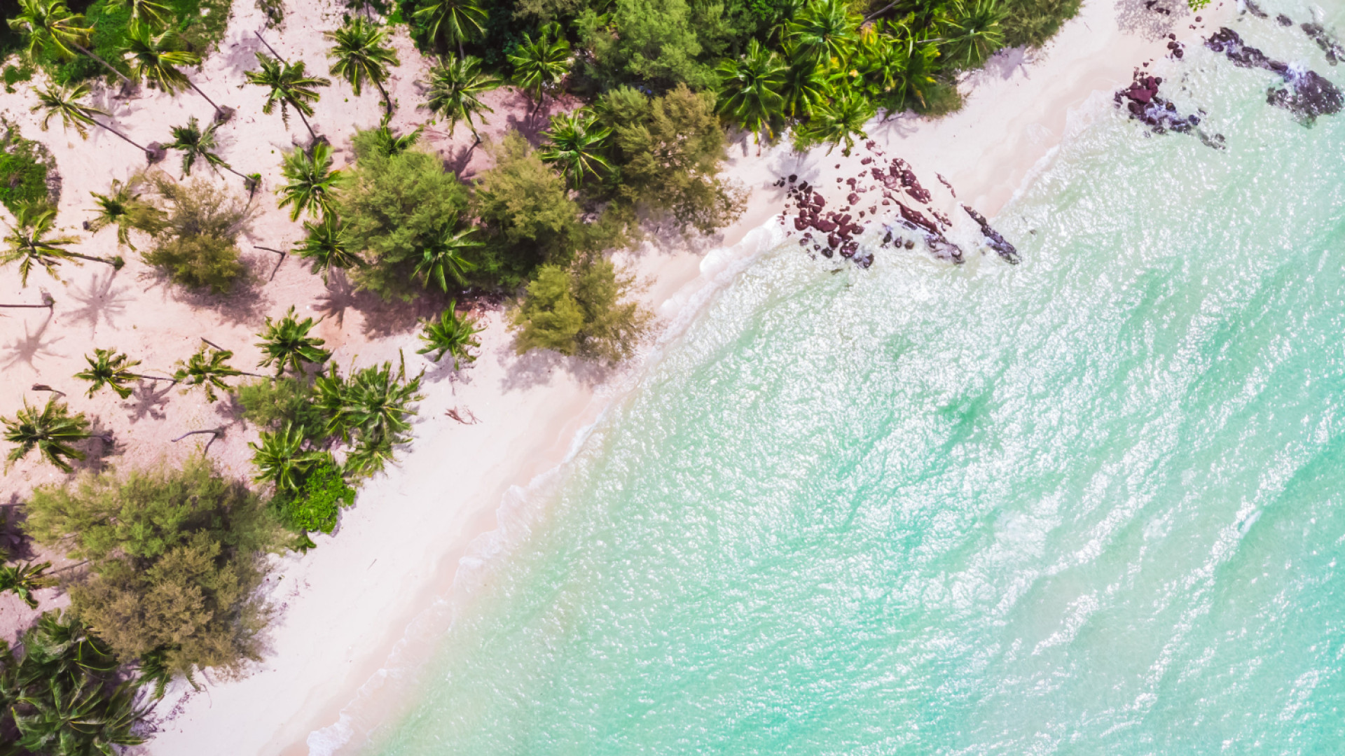 Les indispensables à emporter pour une croisière à Tahiti réussie