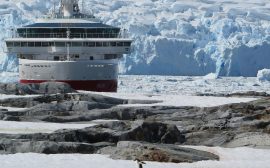 Croisière en Antarctique : un voyage devenu abordable !