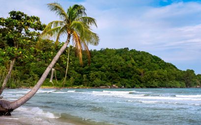 Quand aller en Guadeloupe : conseils pour bien choisir sa période
