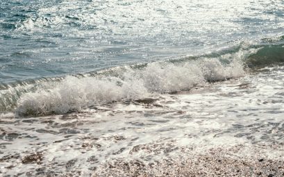 Comment profiter des horaires des marées et coefficients pour choisir le meilleur moment de pêche ?