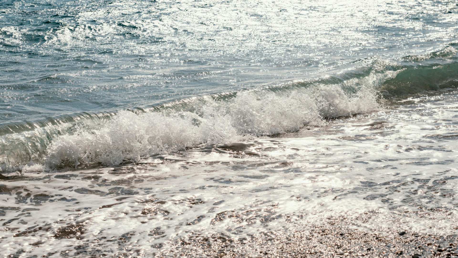 Comment profiter des horaires des marées et coefficients pour choisir le meilleur moment de pêche ?