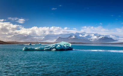 Antarctique : voyagez au cœur de la faune polaire lors d’une croisière !
