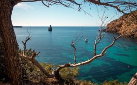 Pourquoi visiter l’Afrique du Sud en croisière est plus pratique qu’un circuit terrestre ?