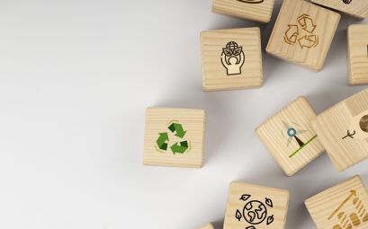 De la sensibilisation à la compréhension : l’éducation des élèves au cœur des enjeux RSE